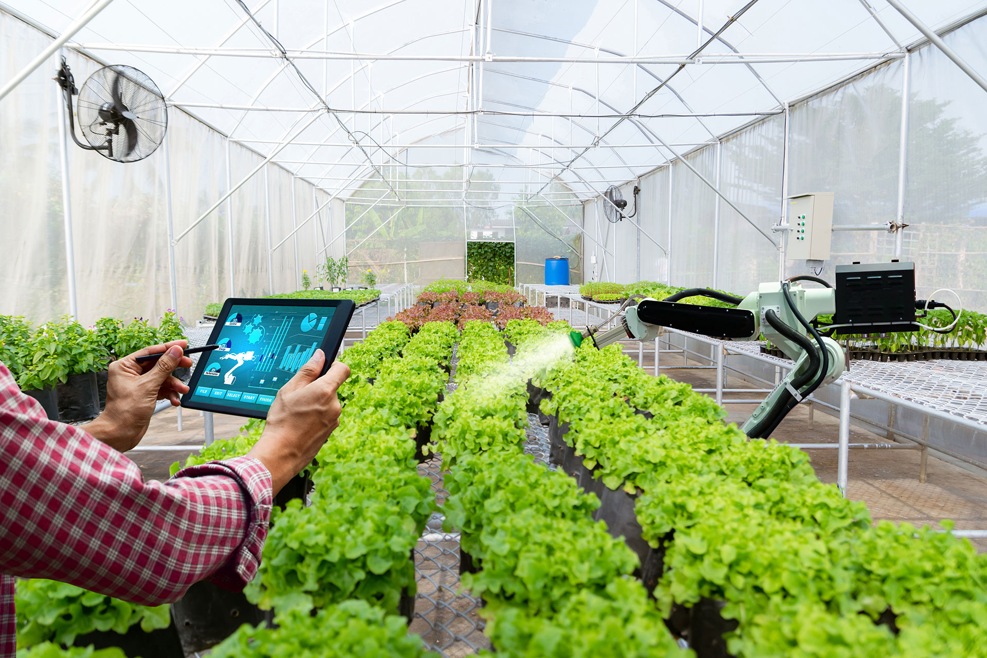 High-tech agriculture